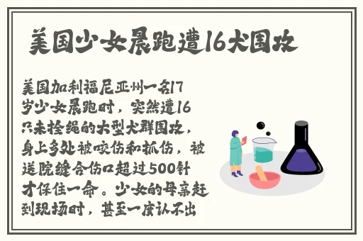 卡芙卡去内无布料开襟